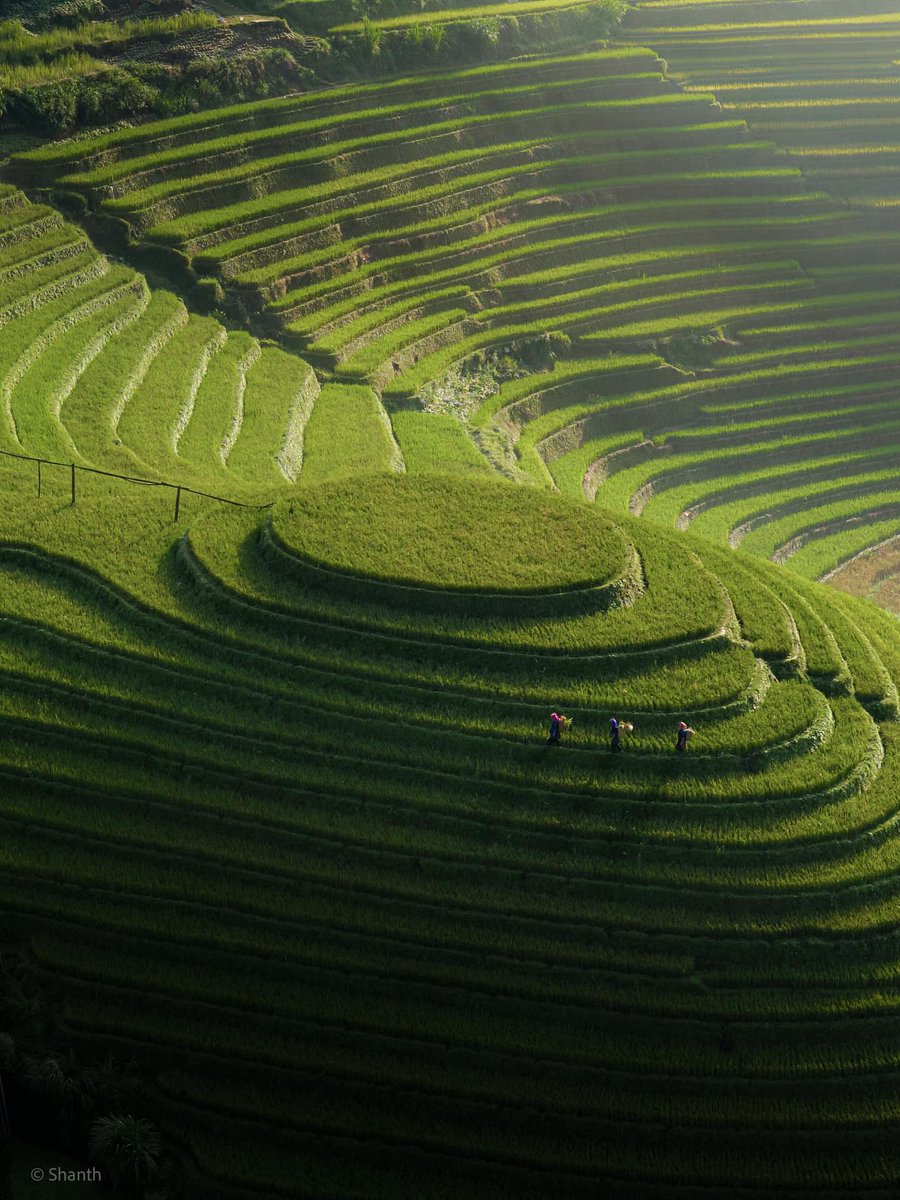 The Earth tweet media