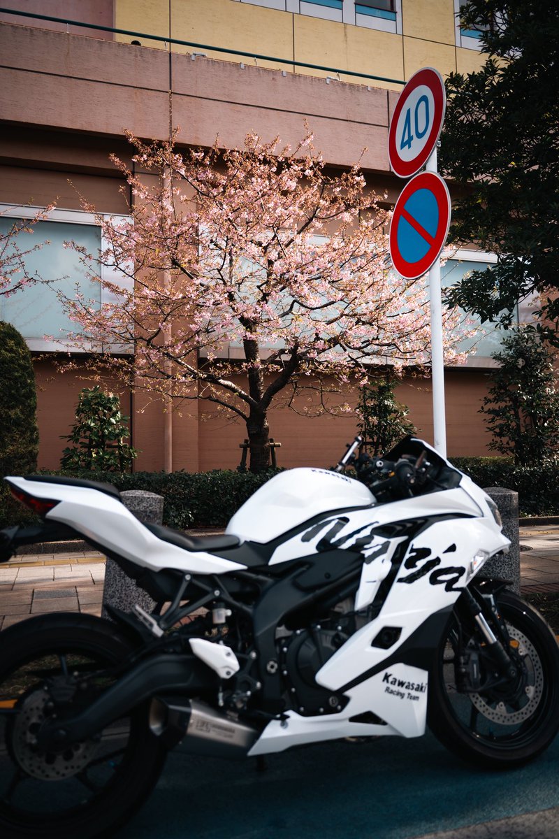 kagetora tweet media