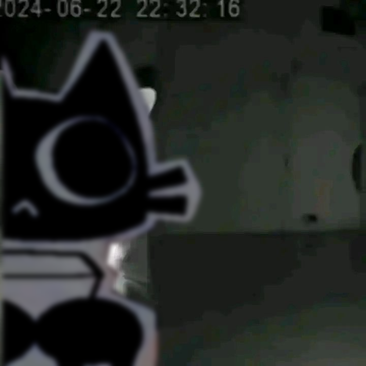 🌸•《♡MAIYAVERSE♡》•🌸 tweet media