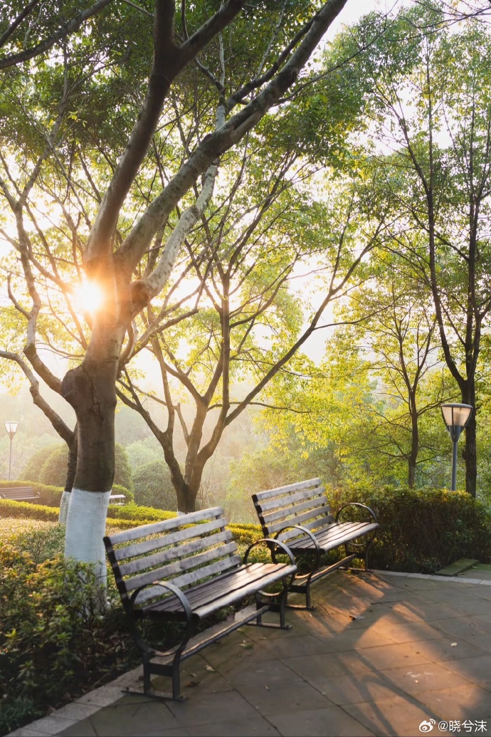 Briar Perrin tweet media