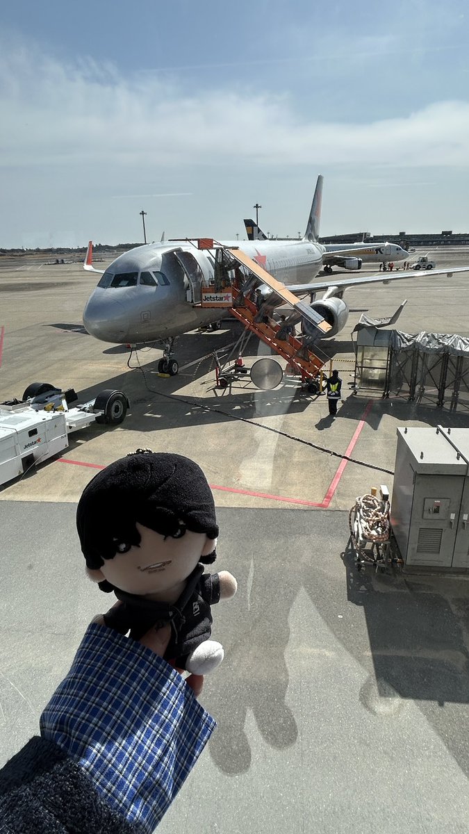 まいごのほくぬい tweet media