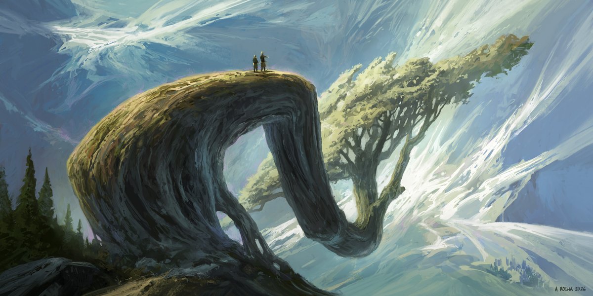 Andreas Rocha tweet media