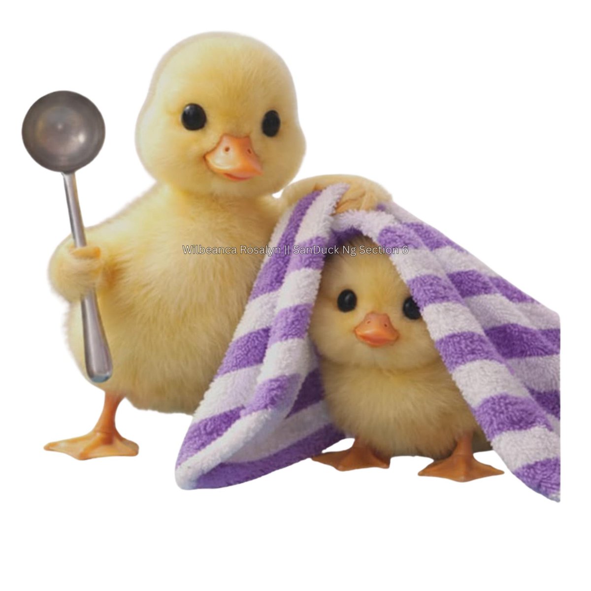 Wilbeanca Rosalyn || SanDuck Ng Section 6 tweet media