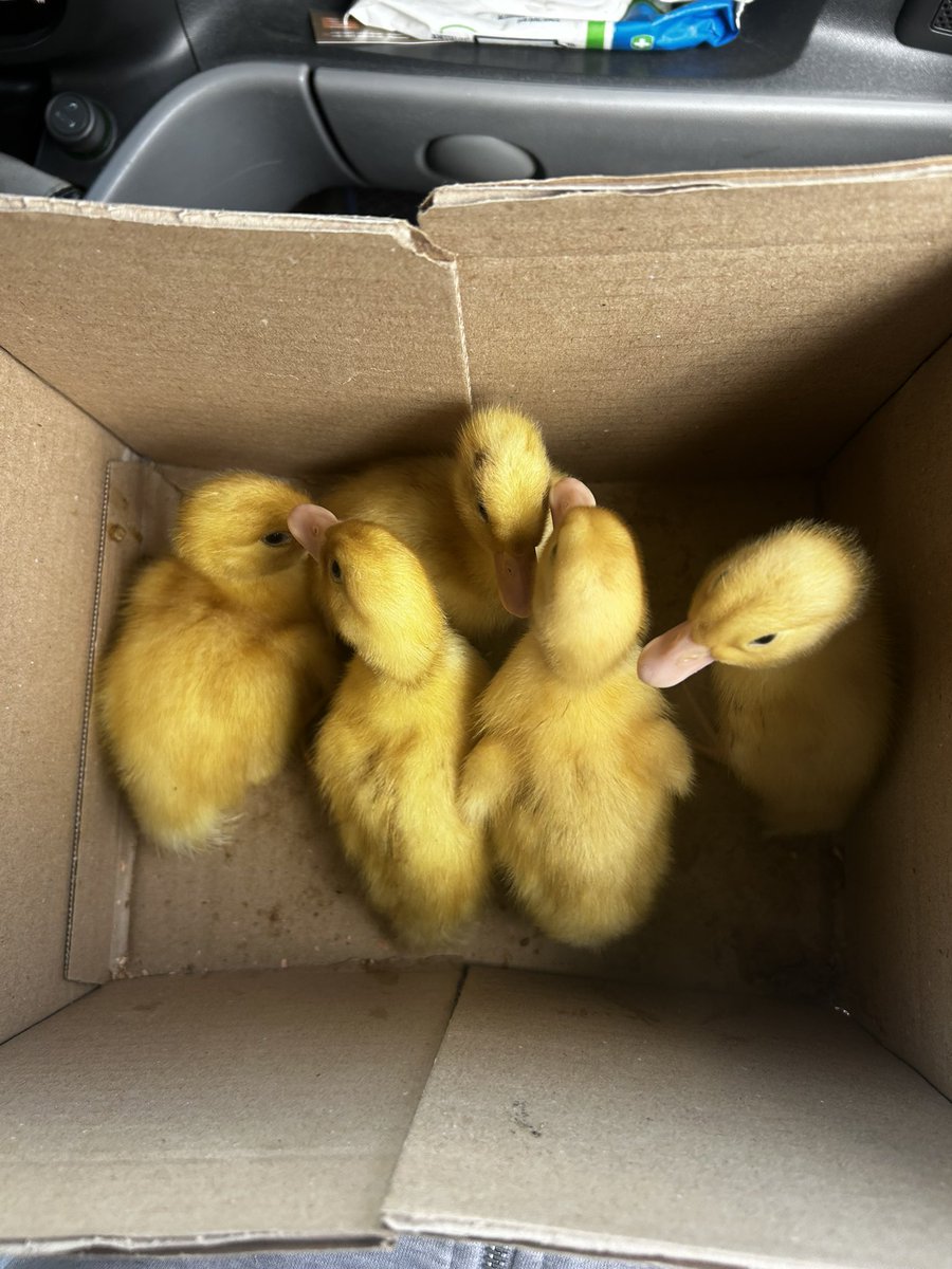 Puhnasta tweet media