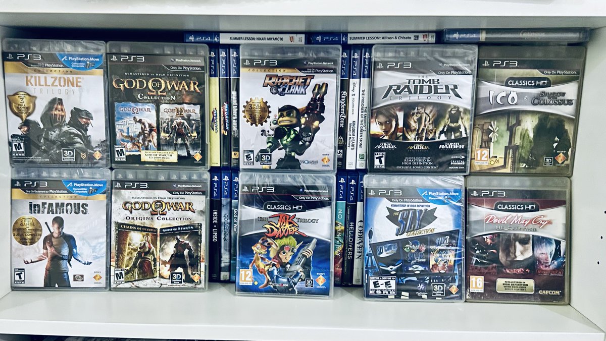 SHAMROKH tweet media