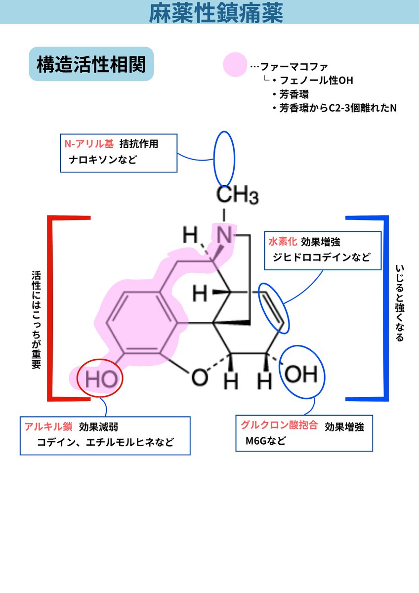 薬学サポーター とも tweet media
