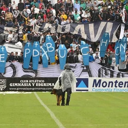 🐺 7 DÍAS.