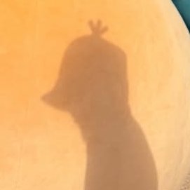 zya 🪭 tweet media