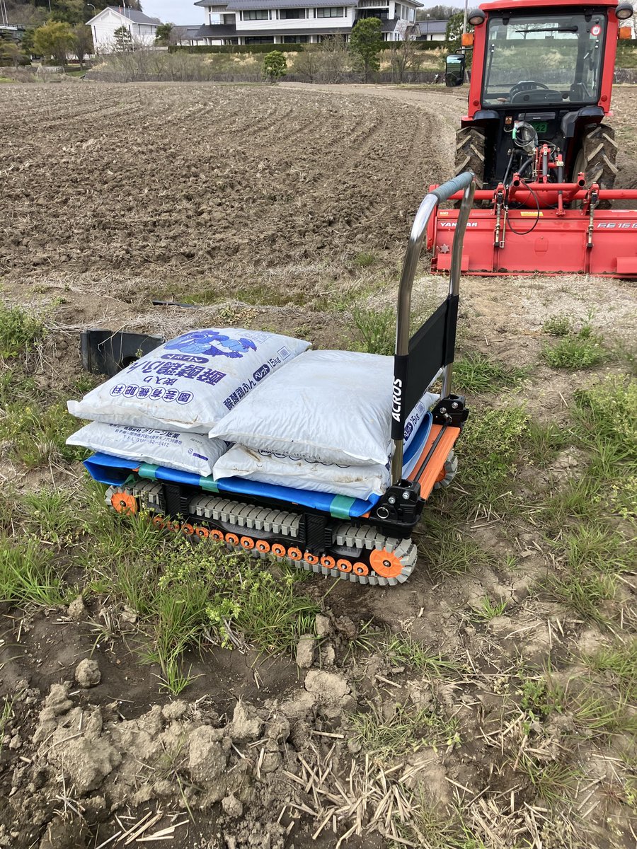 きくちふぁーむ tweet media