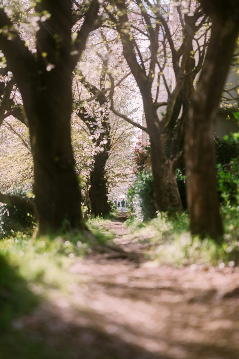 🩵💙🩵Andedo💙🩵💙🩵 tweet media