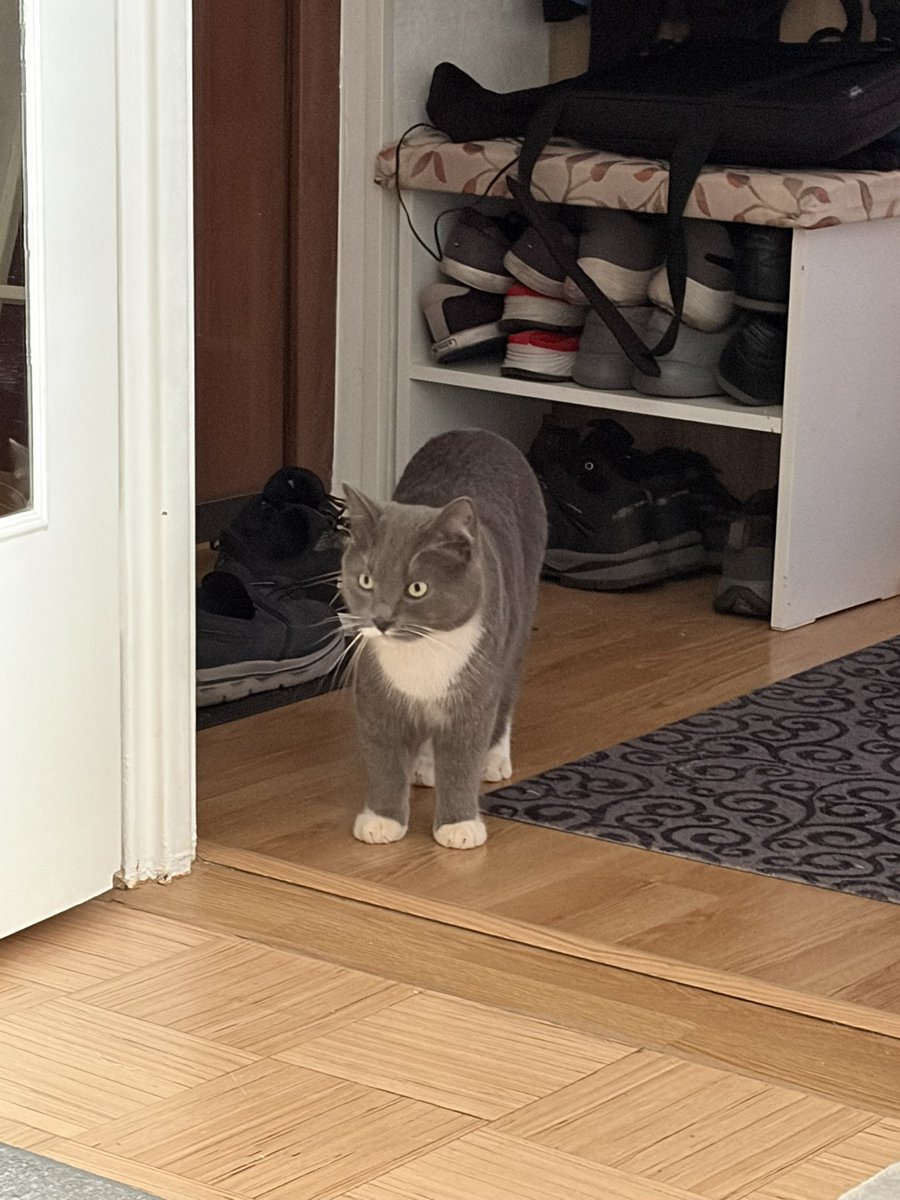 Mukavaa sunnuntai-iltaa ja alkavaa uutta viikkoa kaikille!