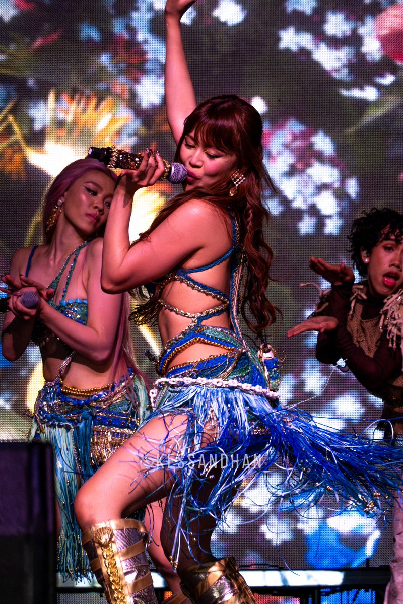 yce ౨ৎ 𓆉 ☘︎ tweet media