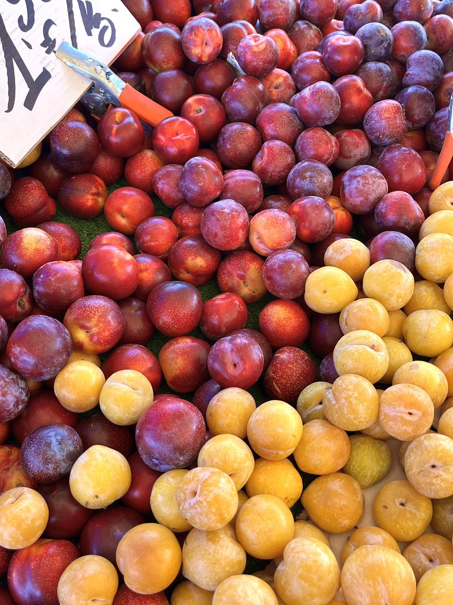 jay 🫐 tweet media