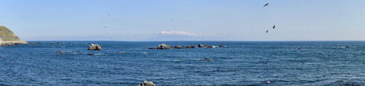 Domon 🏔 tweet media