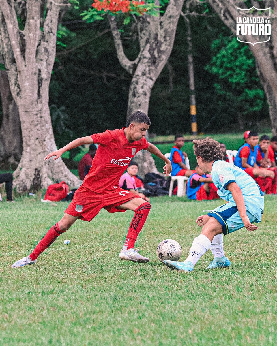 Categorías de Formación América de Cali tweet media