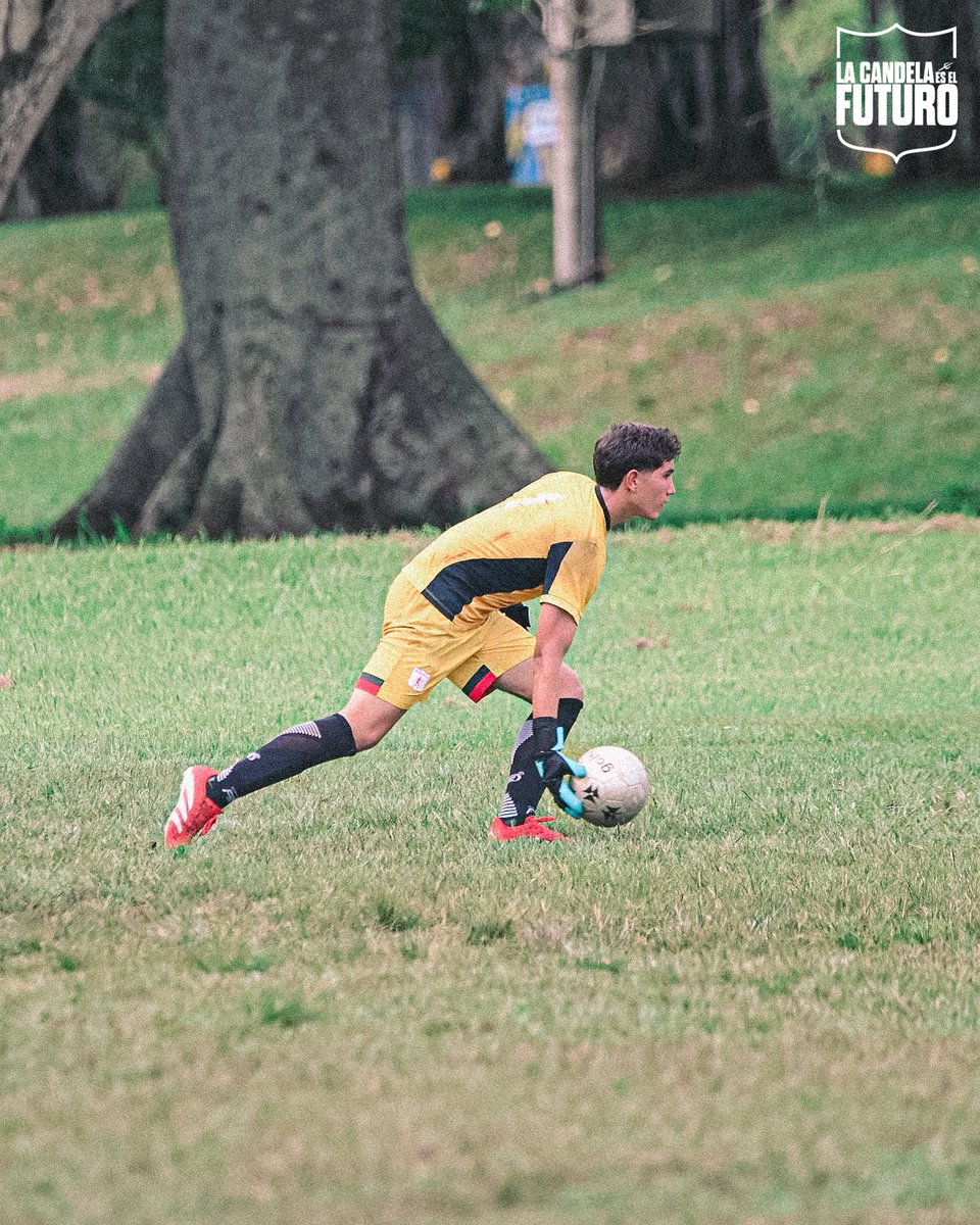 Categorías de Formación América de Cali tweet media