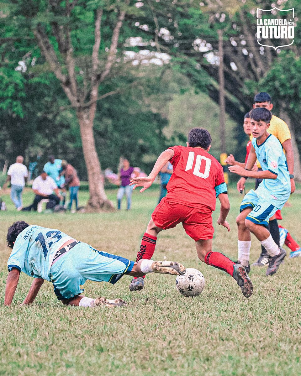Categorías de Formación América de Cali tweet media