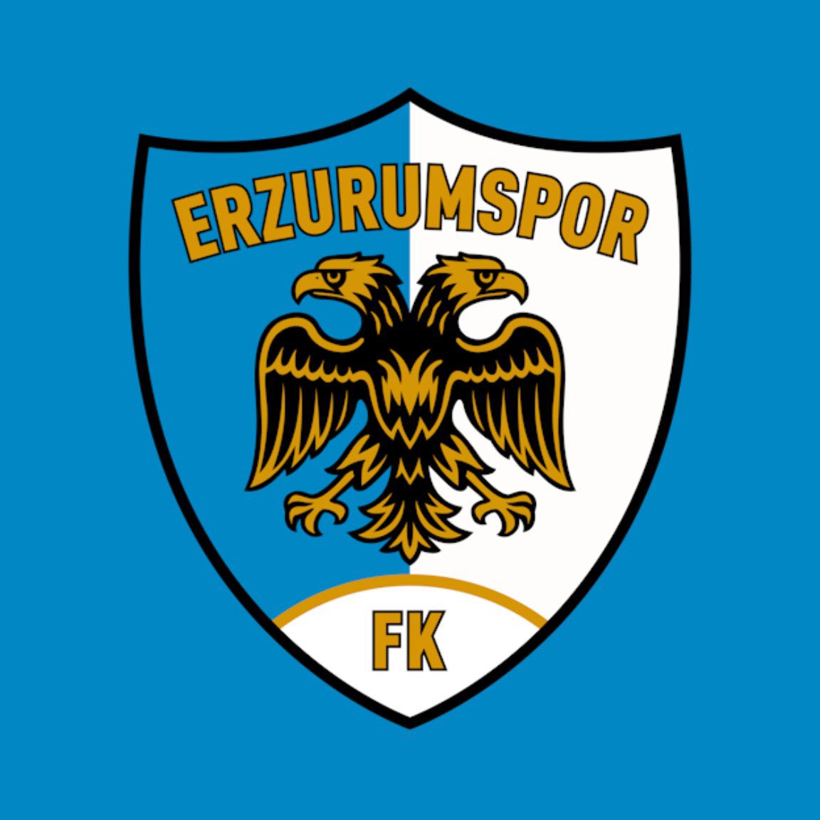 pusholder's tweet photo. Erzurumspor Süper Lig'e yükseldi. https://t.co/TBXbkBYuhX