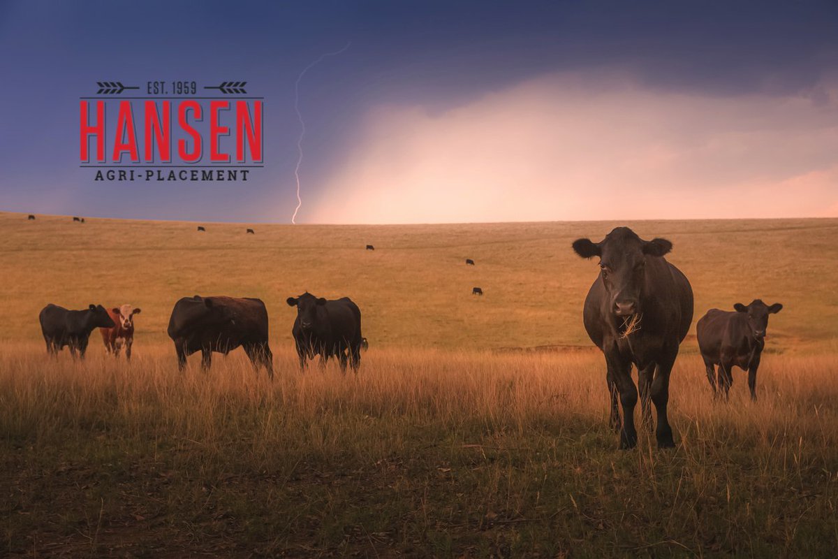 HansenAgriPLCMT's tweet image. Ranch Assistant (EH-11277)
$48,000+/-
Nebraska
#AgJobs #RanchAssistant #RanchHand
hansenagriplacement.com/jobs/ranch-ass…