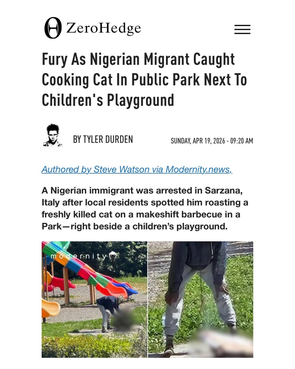 ALX 🇺🇸 tweet media