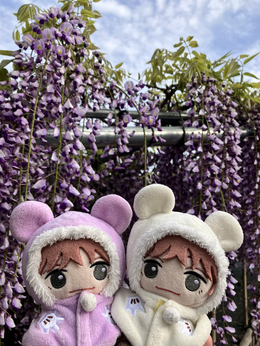 💜チョコちっぷ💜りゅび垢 tweet media