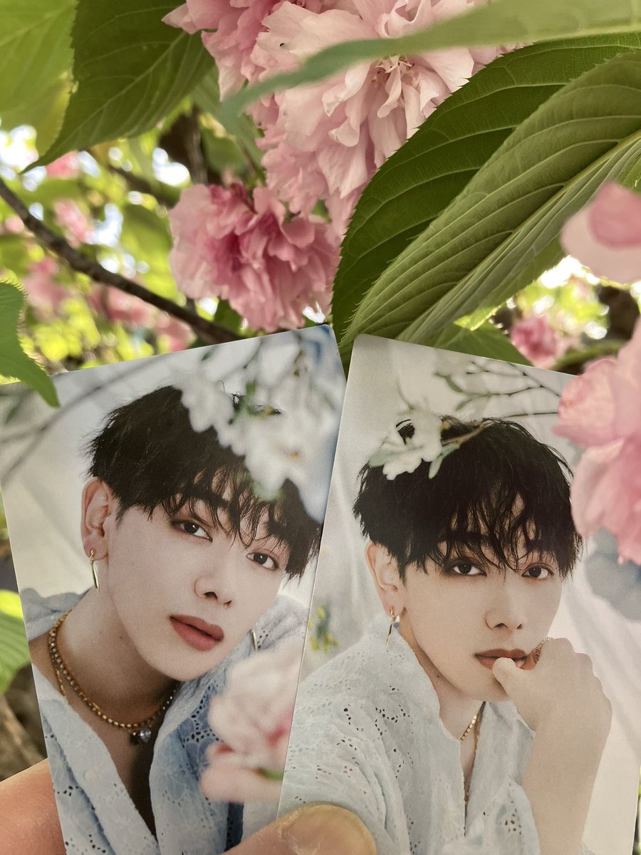 💜チョコちっぷ💜りゅび垢 tweet media