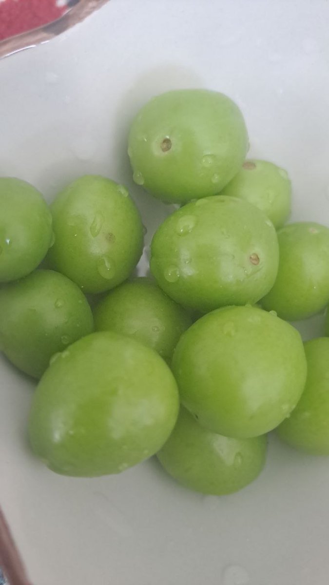 شقایق🌹 tweet media