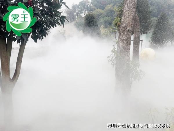 O que fazer agr? tweet media