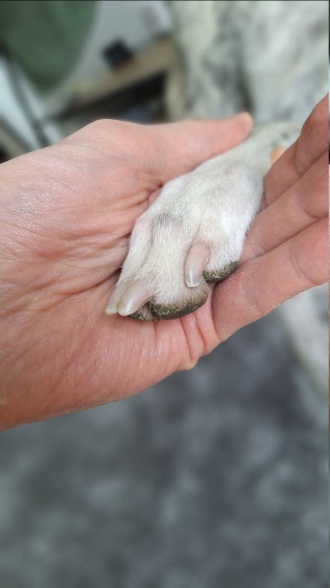 Paul&Jet tweet media