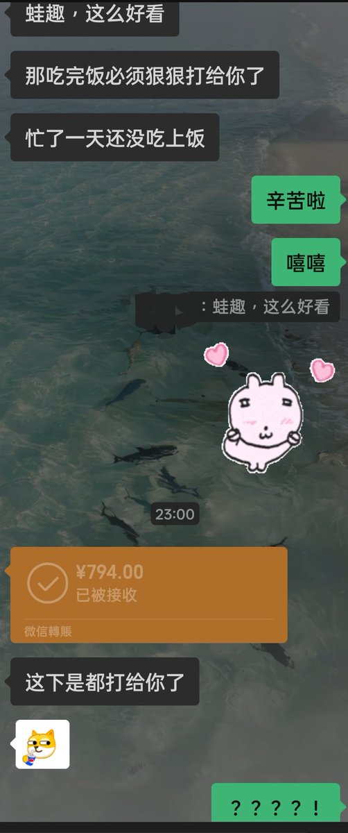 天使用户0919 tweet media