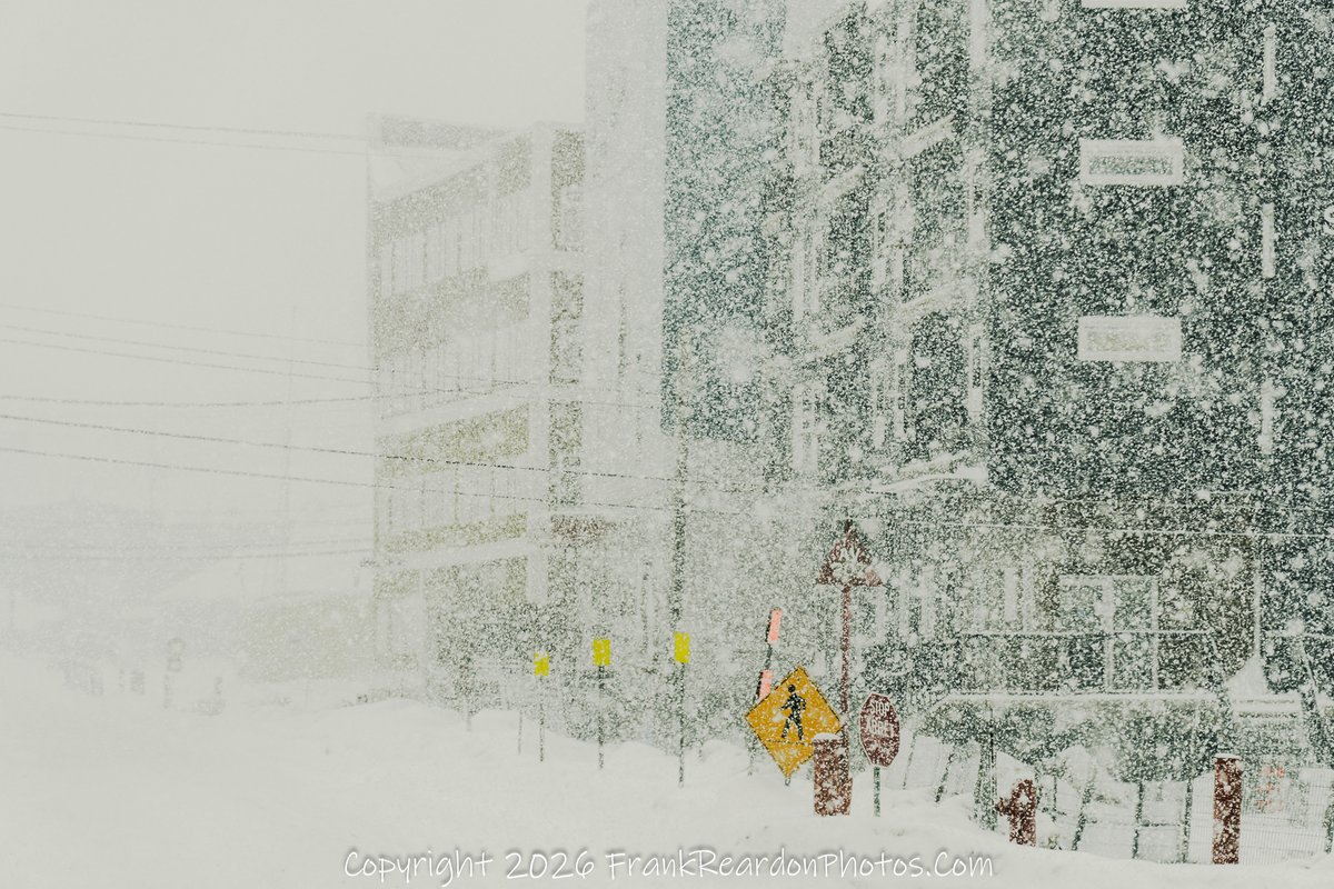 𝔣𝓇𝓪𝐧ｋ ᖇ乇𝓐г𝕕𝐎𝐍 Ƥʰᵒᵗ𝕆𝐬 tweet media