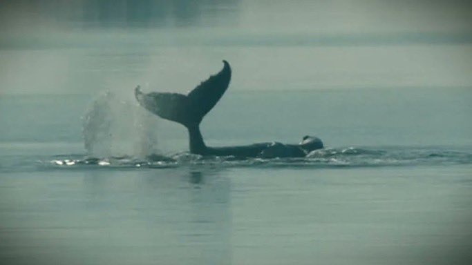 𝑻𝑹𝑼𝑻𝑯 ✦ 𝑹𝑰𝑺𝑬𝑺 tweet media