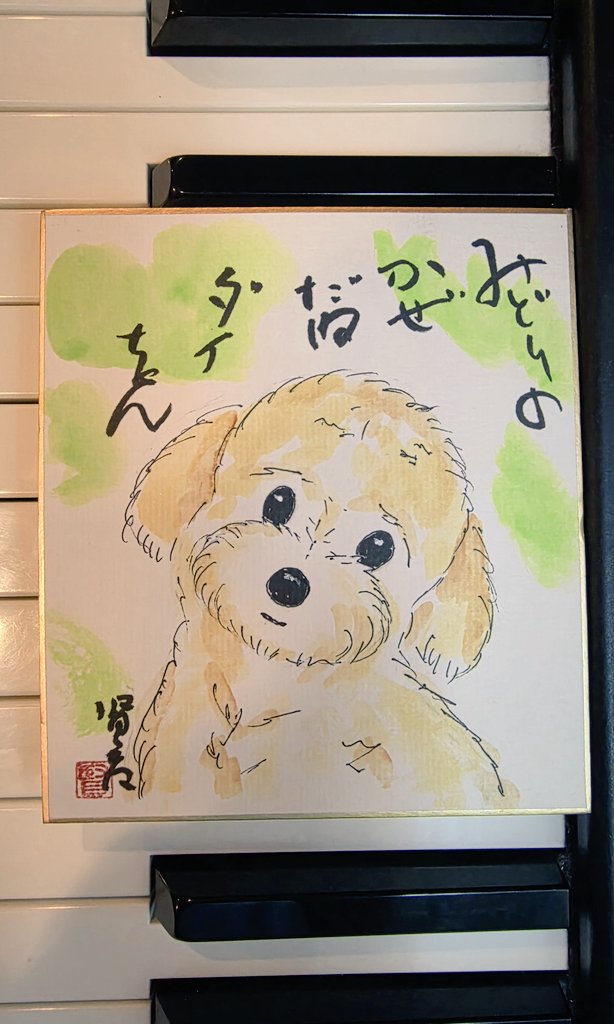 中野裕子 ⁑ hiroko nakano tweet media