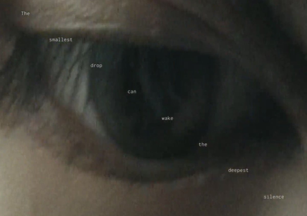 뽀누리 tweet media