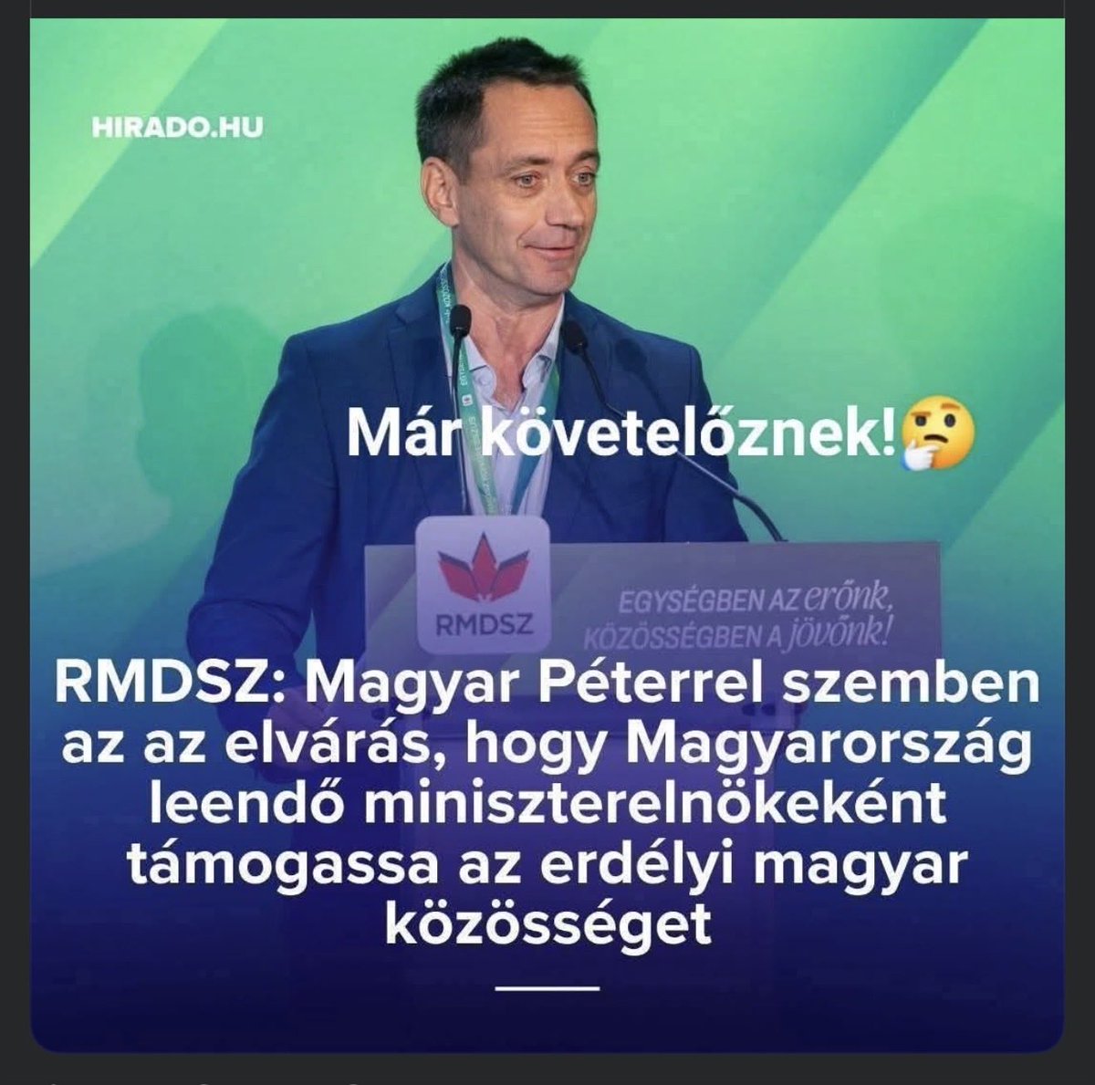 Seppy tweet media