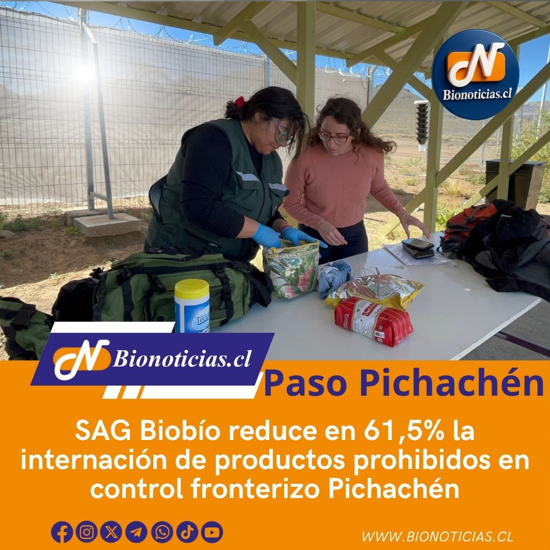 CHANDIAFER's tweet image. SAG Biobío reduce en 61,5% la internación de productos prohibidos en control fronterizo Pichachén
bionoticias.cl/sag-biobio-red… 
#Biobio #SAG #Pichachen #ControlFronterizo #Agricultura