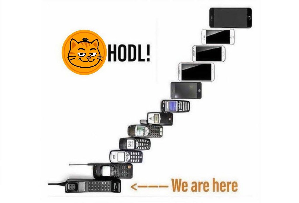 Coincat_Global's tweet image. Just a Beginning #CCAT