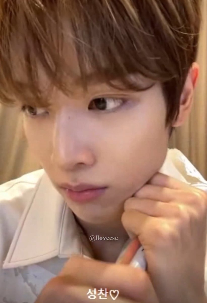 wt ♡ ˚. tweet media