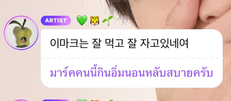 ‎𐙚ྀ CHERVALS ◡̎ ★♡︎🐈🐯🐰 tweet media