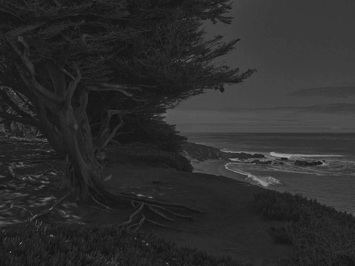 CARDELUCCI tweet media