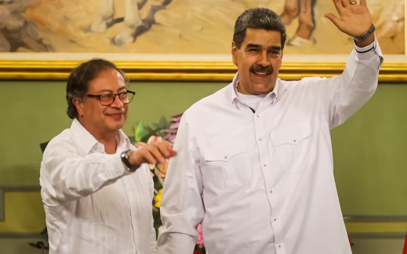 El Trumpista tweet media