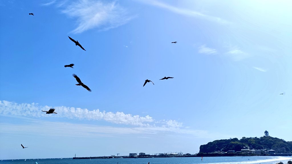 だいごろは面白おかしく生きていたいのです tweet media