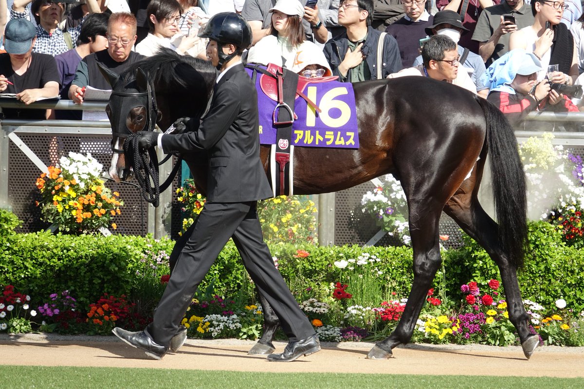 Syylwp0ZfMTOSXz's tweet photo. 今回馬体重は減っていましたが、前走の方が皮膚感が薄かった印象です。４角の事象は怪我ではなかったようで何より。まだまだ先のある馬です。しっかり立て直して万全の態勢での復帰を願います。 https://t.co/QxmsFFJ5CO