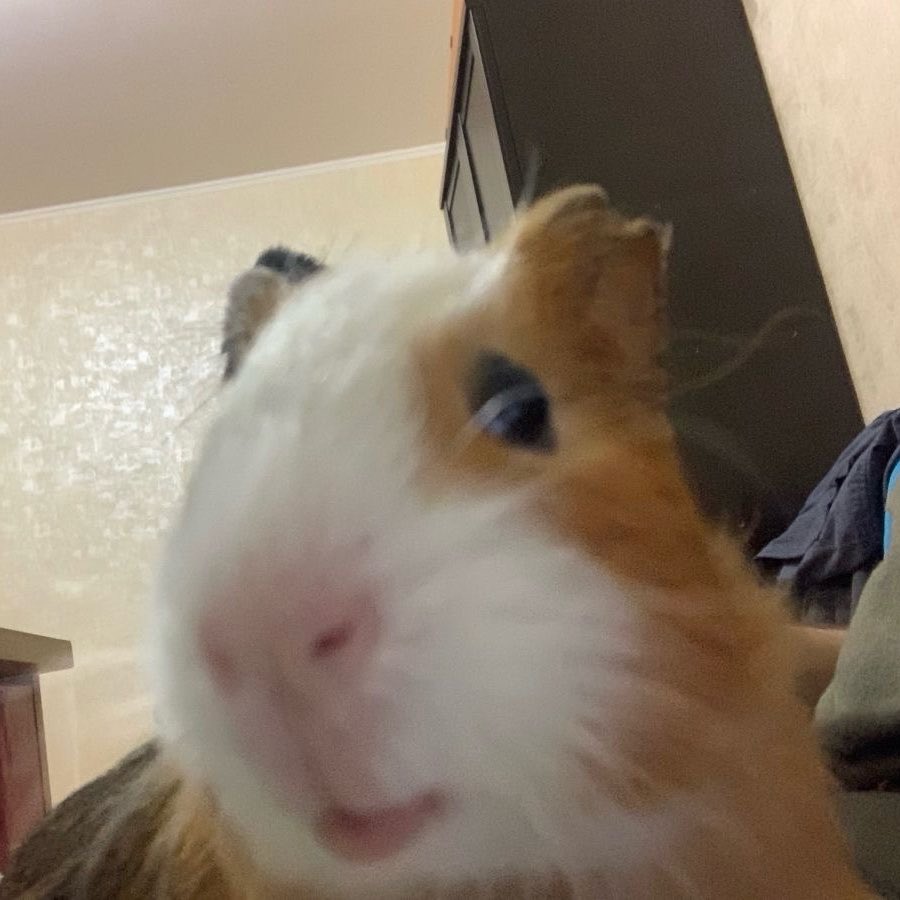 빵꾸 𖤐⋆ tweet media