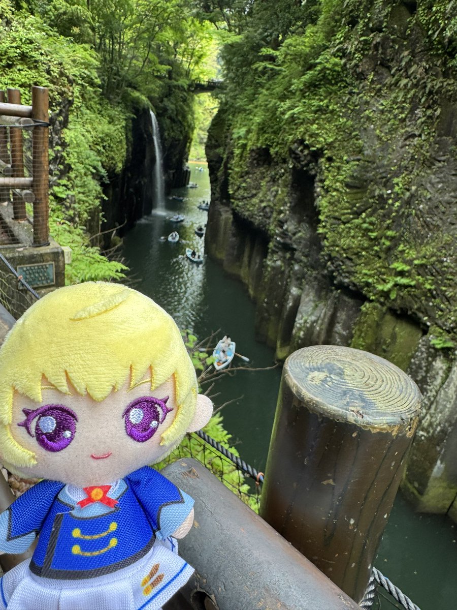 ニグたん tweet media