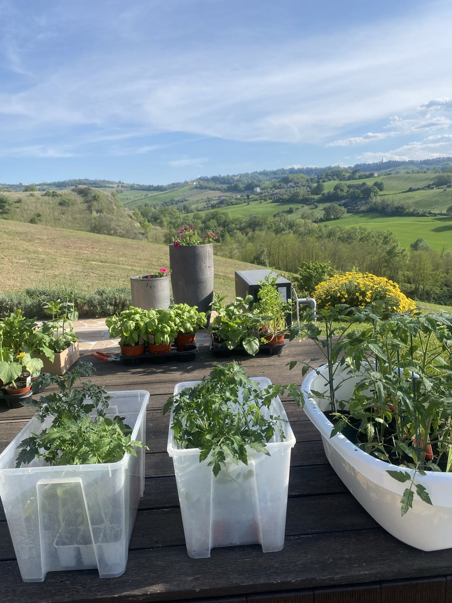 AnetteRombout's tweet photo. Starting to create this years vegetable garden here in Abruzzo, Italy 🇮🇹 🌞
The first batch waiting to be planted out. Fun 💃
#pomodori 🍅 #cetrioli 🥒 #melanzane 🍆
#prezzemoli 🌿 #zucchine #peperoncini #peperone #insalata #bietola #finocchi https://t.co/O54BuNnYmH