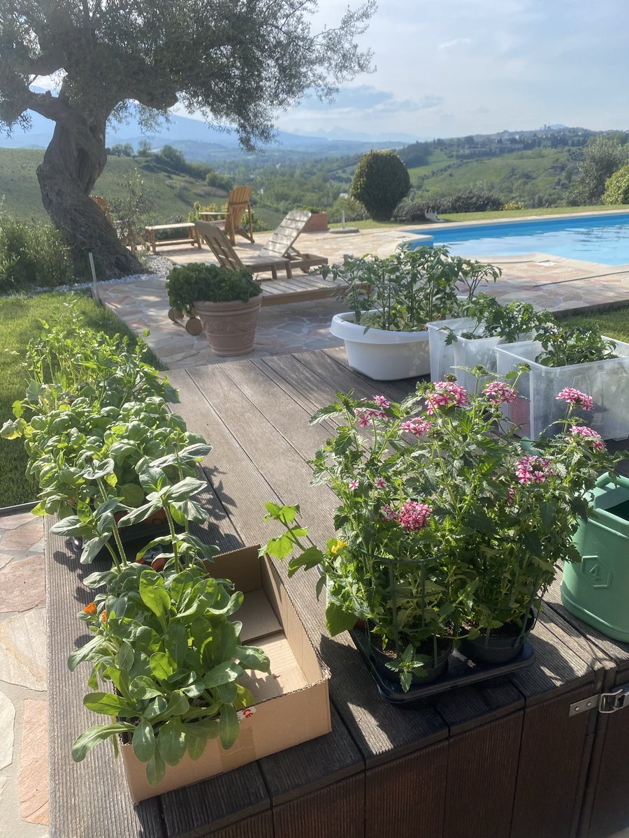 Starting to create this years vegetable garden here in Abruzzo, Italy 🇮🇹 🌞 
The first batch waiting to be planted out. Fun 💃

#pomodori 🍅 #cetrioli 🥒 #melanzane 🍆 
#prezzemoli 🌿 #zucchine #peperoncini #peperone #insalata #bietola #finocchi