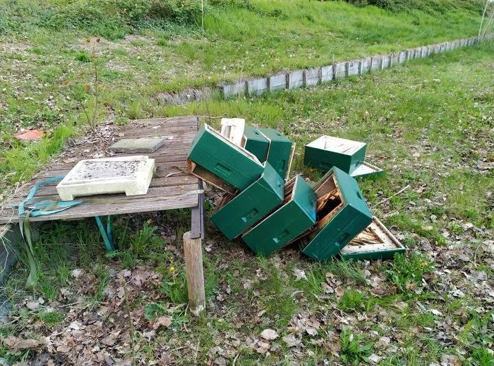 𝒮𝒶𝓃𝓃𝑜🌪 tweet media