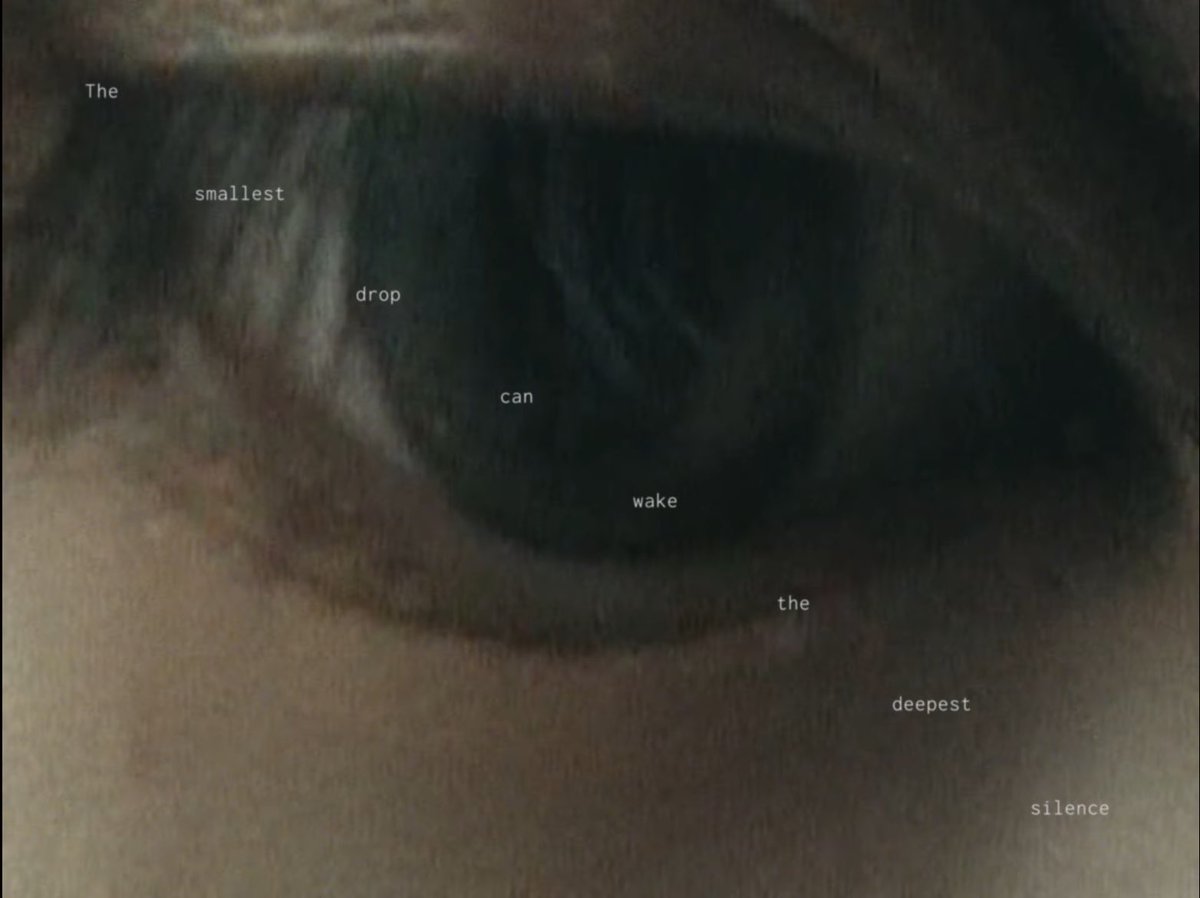 yuehuaz archive tweet media