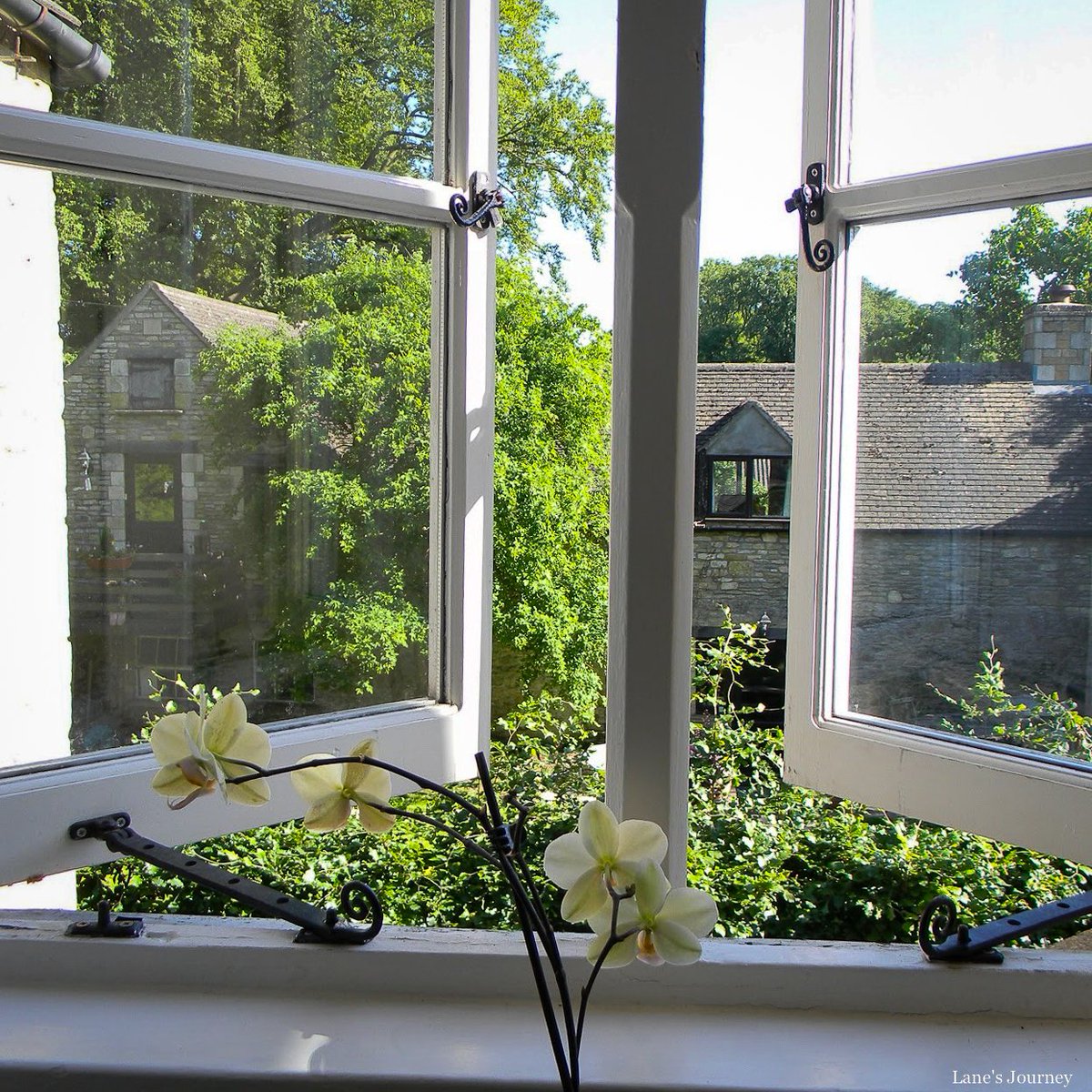 LanesJourney's tweet image. #FromtheVault:  #Window in the BnB.

Located in #Bath.  Captured on one of my many trips to England.

#PhotoDiary #TravelMemories